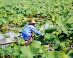 Jour 4