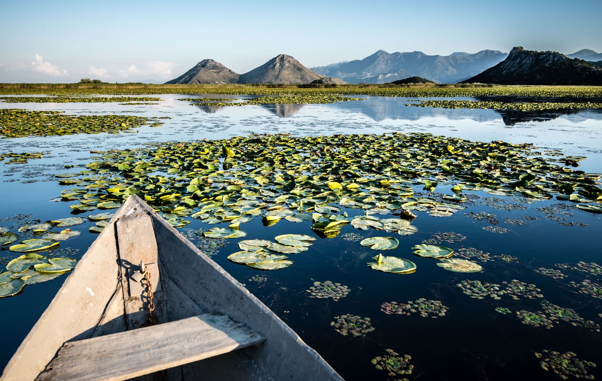 Lac Skadar (Skadarsko jezero)